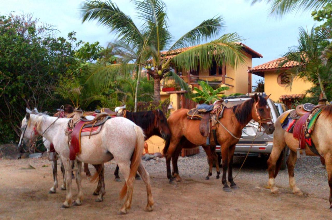 Troncones Point Hostel Extérieur photo