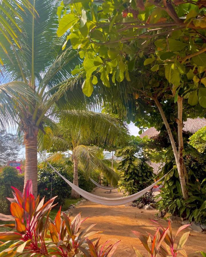 Troncones Point Hostel Extérieur photo